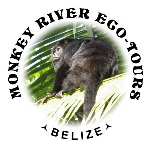 monkey river trip belize