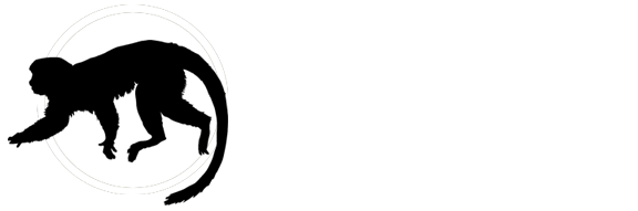 monkey river eco tours